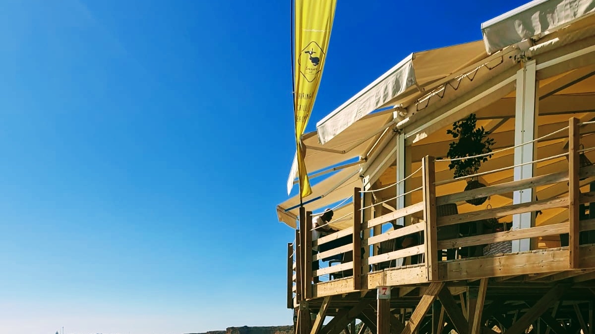 Kanguro Chiringuito-4